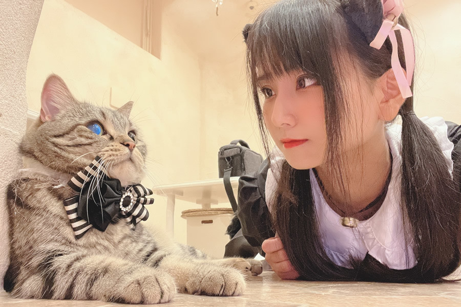 日本Coser柳丸小姐姐打造的15套经典之作 日本Coser柳丸小姐姐打造的15套经典之作