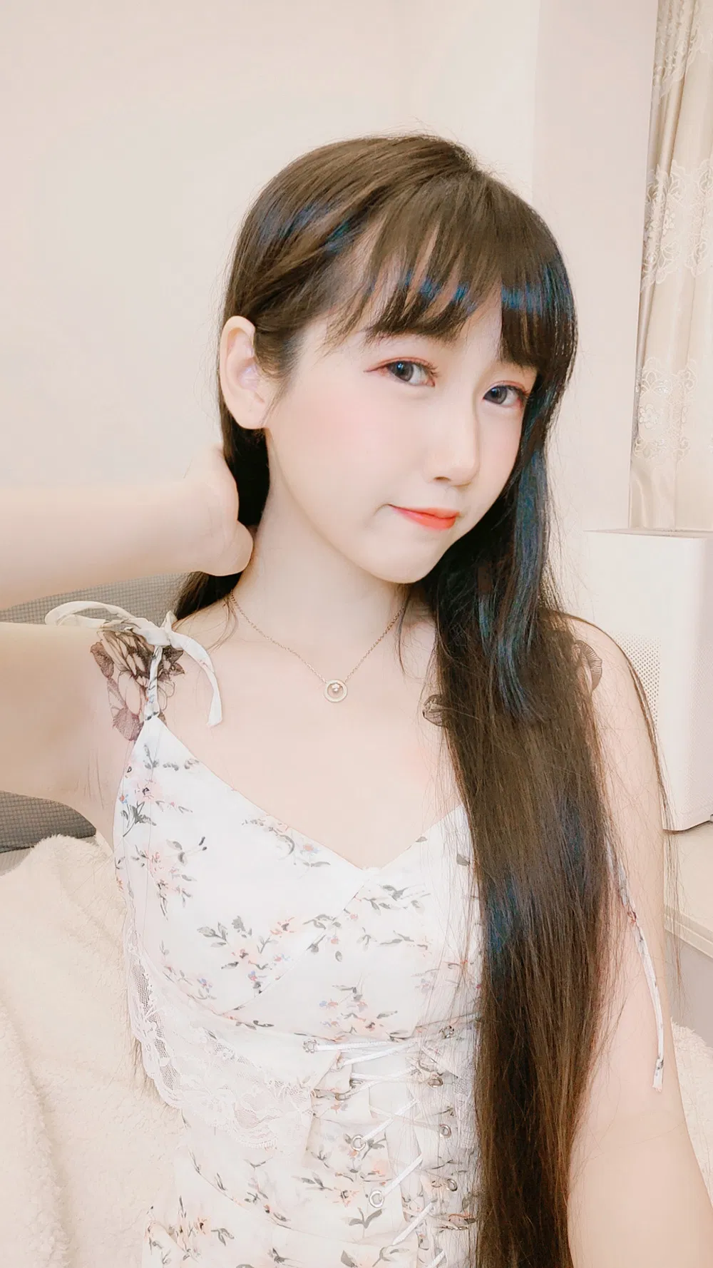 不呆猫图片1